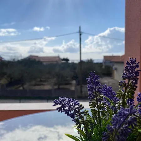 Appartement Gokroatien Privlaka (Zadar)