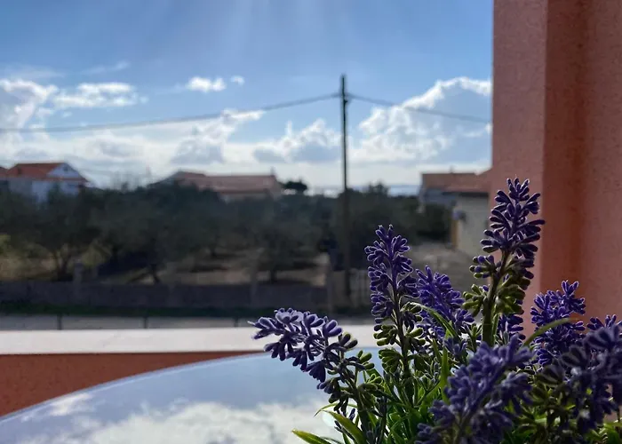 Apartment Gokroatien Privlaka (Zadar)